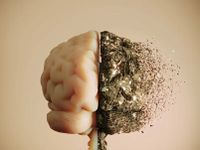 اضطراب الساعة البيولوجية قد يكون مؤشرًا مبكرًا للخرف