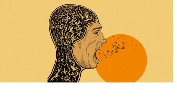 حرية الرأي والتعبير وحدودها