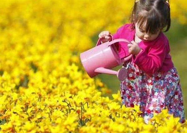 طقس ربيعي في الايام المقبلة.. ولكن!