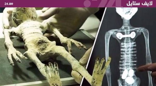 بالفيديو: العثور على جثث لكائنات فضائية في البيرو!