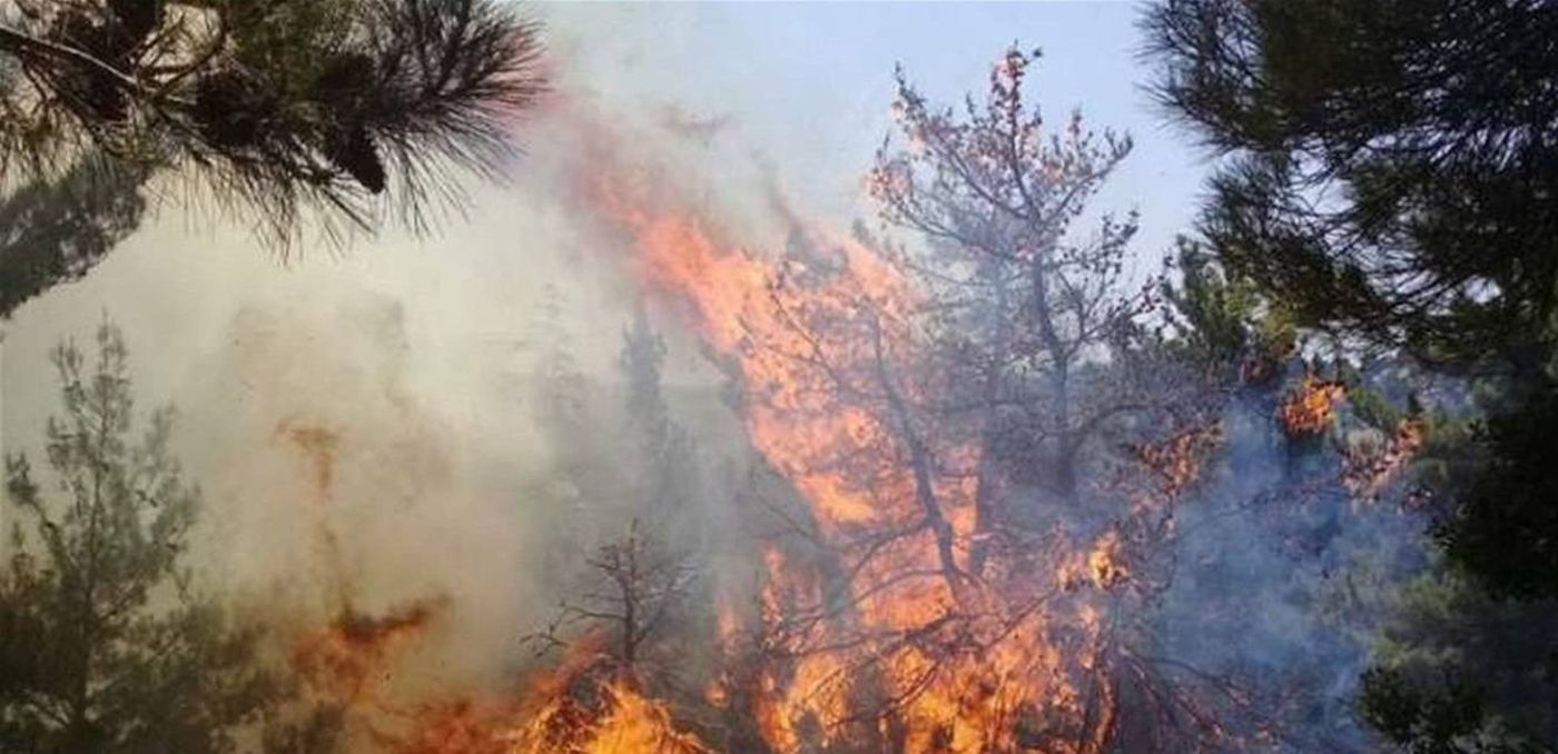حريق كبير في احراج بلدة إده