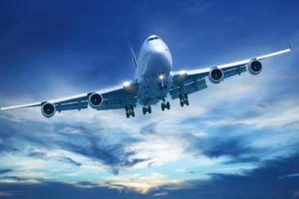 نحلة تؤخر إطلاع طائرة