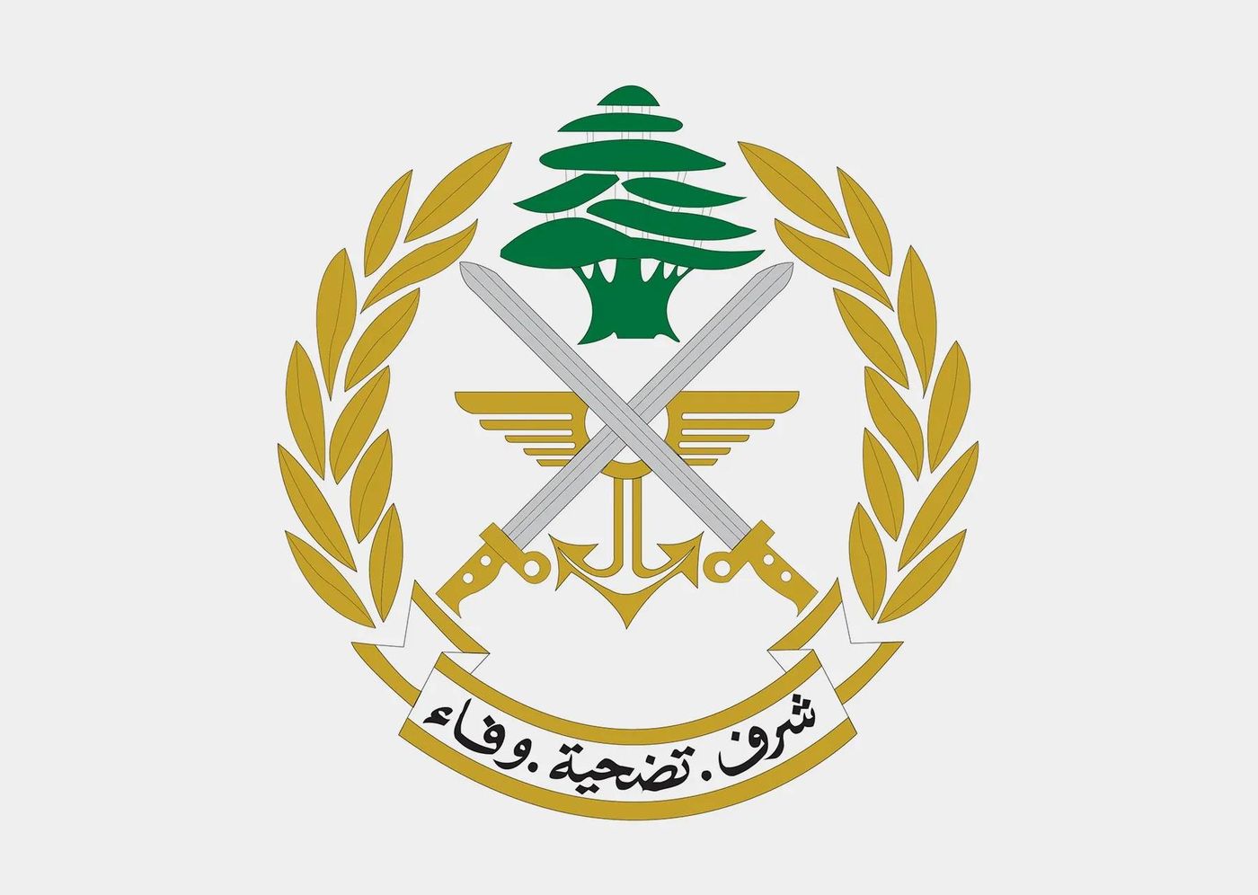 الجيش يفكك قنبلتين من مخلفات العدوان الإسرائيلي