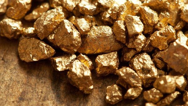 أطفال يعثرون على كنز من الذهب في الغابة.. ما فعلوه به سيدهشكم!