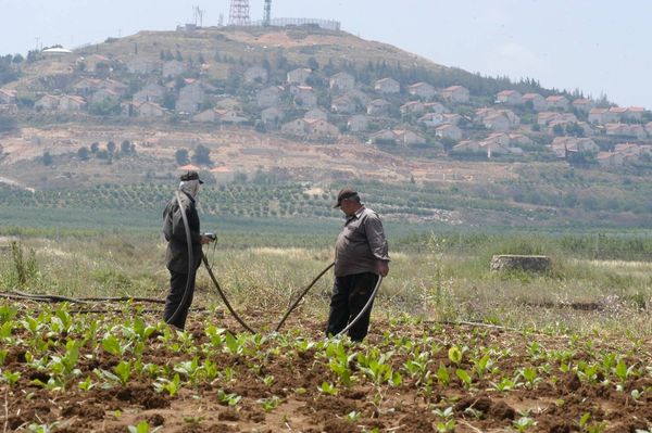 أضرار غير مسبوقة تطال أراضي الجنوب الزراعية