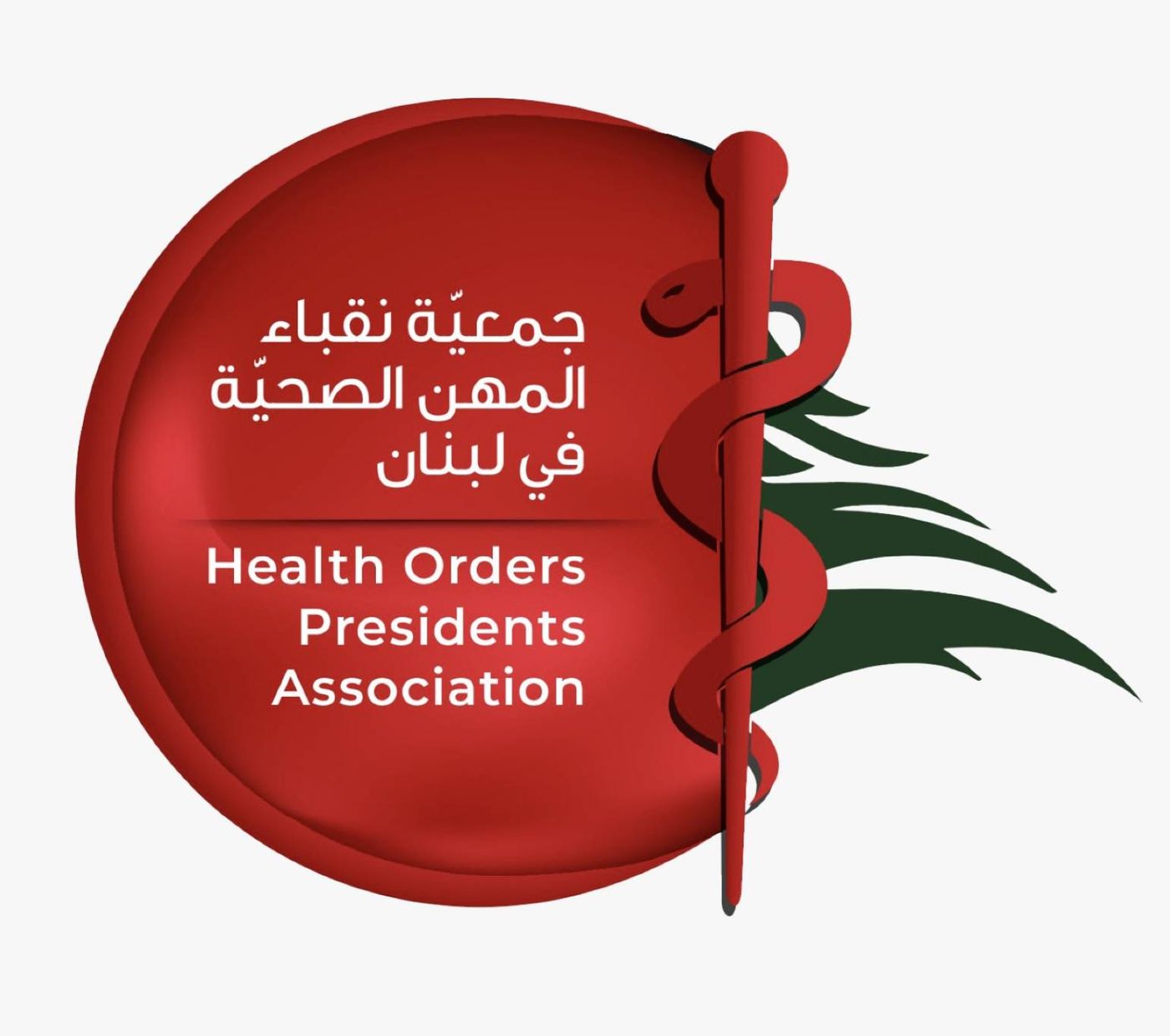 نقباء المهن الصحية: القطاع الصحي يواجه تحديات استثنائية في زمن الحرب
